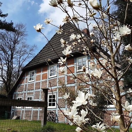 Schoenes Apartment Vor Den Toren Hamburgs - Keine Monteurwohnung Asendorf Экстерьер фото